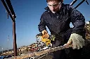 dewalt-dcs331n-accu-decoupeerzaag-18v-xr-basic-body-5035048356197-mastertools_nl-2.webp