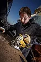 dewalt-dcs331n-accu-decoupeerzaag-18v-xr-basic-body-5035048356197-mastertools_nl-3.webp